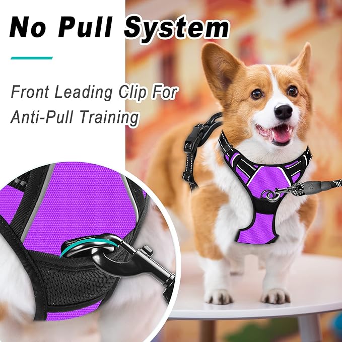 BARKBAY No Pull Dog Harness Large Step in Reflective Dog Harness with Front Clip and Easy Control Handle for Walking Training Running(Purple,L)