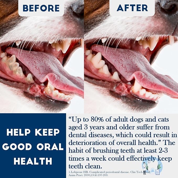 200 Pcs Dog Toothbrush Cat Tooth Brushes Bulk, Double Sided Brushing Kit, Teeth Cleaning Kit Soft Bristles Long Handle, Pet Tooth Brush for Small to Large Dog, Cat, Puppy & Kitten, 10 Colors