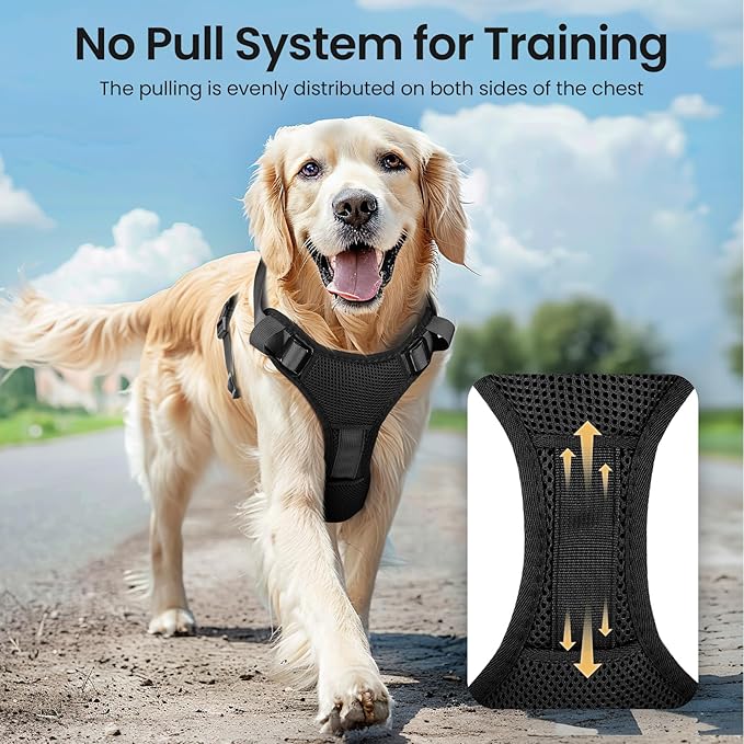 Light Up Dog Harness,No Pull Led Dog Harness Rechargeable, Reflective Lighted Safety Vest for Small Medium Large Dogs,High Visibility,4 Point Adjustable,Breathable Soft Mesh,Black,S