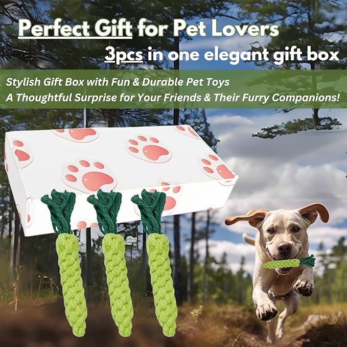 3PCS Green Woven Pet Chew Set, Dog Chew Accessories, Cat Interactive Chews, Safe & Durable Braided Chews for Dogs, Cats & More Pets