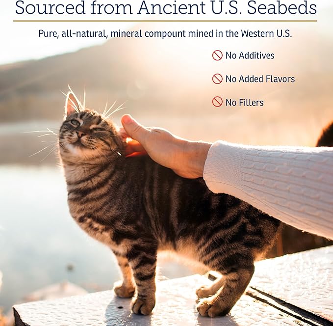 Rx Vitamins Feline Minerals - Taurine for Cat Heart Health - Calcium for Joint Supplement - Immune Support for Cats with Magnesium & Potassium - Skin and Coat Supplement - 8oz