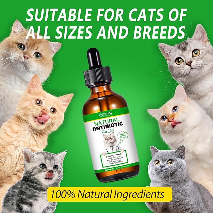 2PACK Antibiotics for Cats, Cats Antibiotics for Injections, Natural antibiotic for Cat Immune & Allergy Relief, Cough Relief, Yeast Injection, UTI Treatments, Cat Antibiotic Supplement Drops, 2*60ML