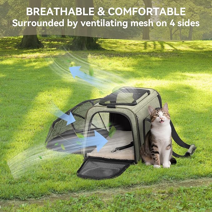 Petsfit Expandable Rabbit Carrier Small Cat Carrier Airline Approved, 16X10X9 Inches Soft-Sided Portable Small Animal Travel Bag for Kitten/Puppy/Bunny/Guinea Pig