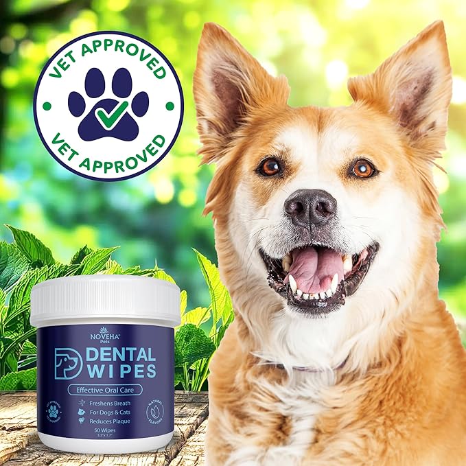 NOVEHA Pets Dental Finger Wipes for Dogs & Cats | Freshens Breath, Reduces Plaque | Healthier Gums | Clean Teeth No Toothbrush | Vet Recommended Effective Natural Oral Care (50 pcs, Flavor-Free)