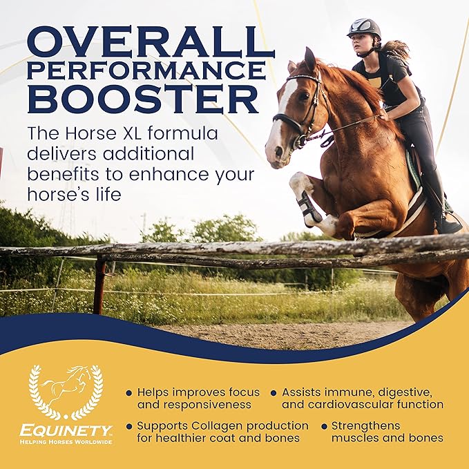 100-Day Supply Horse XL Supplements – Horse Care Weight Gain Supplement W/ 8 Amino Acids - No Soy or Sugar Coat Defense for Horses - Joint Supplement, Equine Supplies & Hoof Supplements