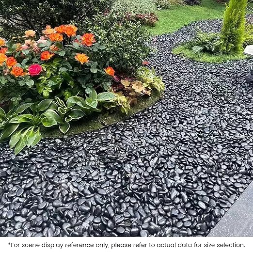 SIDONG 10 LB Black River Rocks, 0.3-0.5 Inches High Polished Pebbles for Indoor Plants, Aquarium Rocks Used in Fish Tank, Decorative Stones for Plants, Vases, Home Décor, Crafting, Garden Landscaping