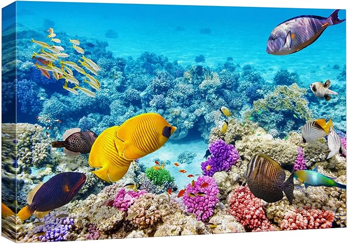 wall26 Canvas Print Wall Art Vibrant Teal Underwater Fish Coral Reef Nature Animals Photography Realism Rustic Scenic Landscape Wilderness Earth Colorful for Living Room, Bedroom, Office - 16"x24"