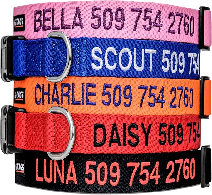 GoTags Personalized Dog Collar, Custom Embroidered with Pet Name and Phone Number in Blue, Black, Pink, Red and Orange, for Boy and Girl Dogs or Cats, Adjustable Sizes, Small, Medium, and Large