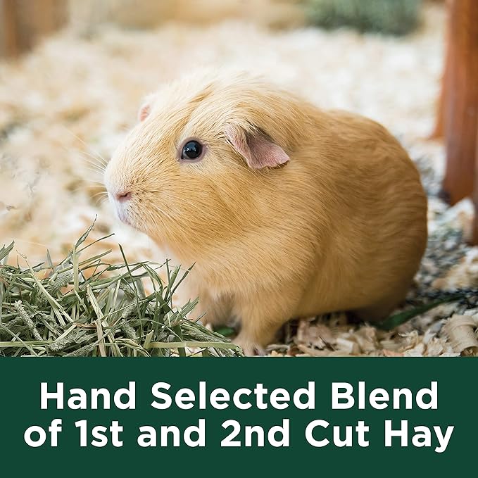Kaytee All Natural Timothy Hay Plus Rose & Thyme for Guinea Pigs, Rabbits & Other Small Animals, 24 Ounce