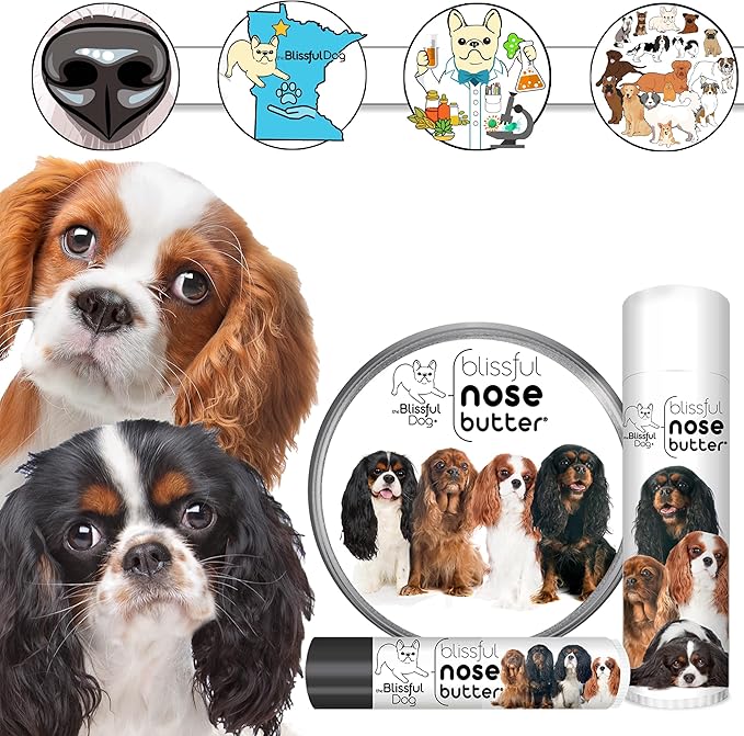 The Blissful Dog Cavalier King Charles Spaniel Nose Butter, Versatile Dog Nose Balm for Dry Nose, Handcrafted Nose Moisturizer, Easy-to-Apply Dog Essentials, Unscented, 0.50 oz.