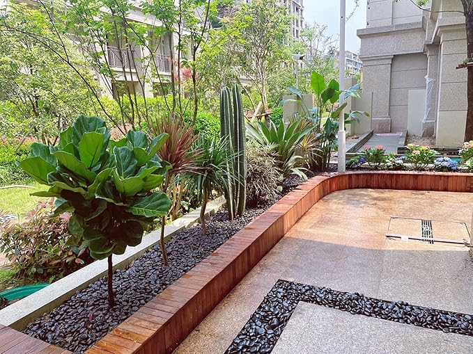 10 lbs Black Pebbles - 2-3 inch Decorative River Stones for Plants, Aquarium, Fish Tank, Outdoor Garden Landscaping