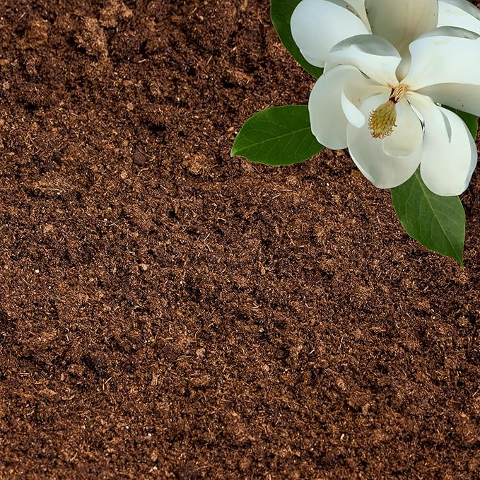 Peat Moss for Plants – Organic Sphagnum Peat Moss for Orchids, Terrariums, Seed Starting, Reptiles & Potting Soil Mix (3 quarts)