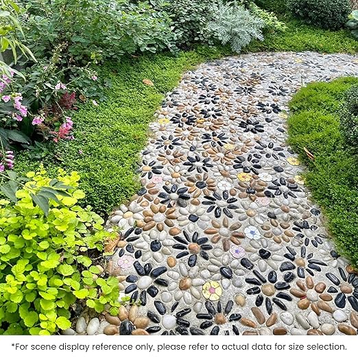 SIDONG 5 LB Mixed River Rocks, 0.4-1.2 Inches Highly Polished Pebbles for Indoor Plants, Decorative Stones for Plants, Fish Tank, Vases, Home Décor, Crafting, Garden Landscaping
