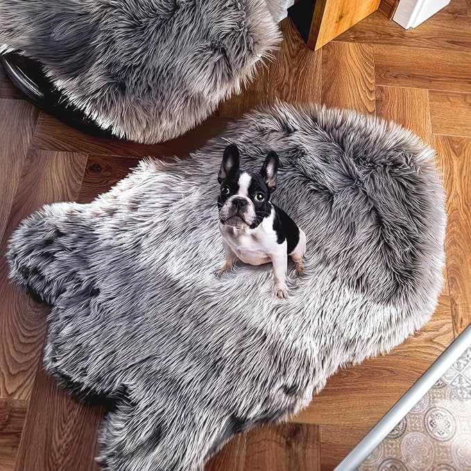 IHAPPYDOG Luxury Faux Fur Orthopedic Dog Bed, Memory Foam Dog Bed for Small, Medium, Large and XL Pets, Fluffy Pet Bed with Waterproof and Washable Cover (Grey, 40"x25")