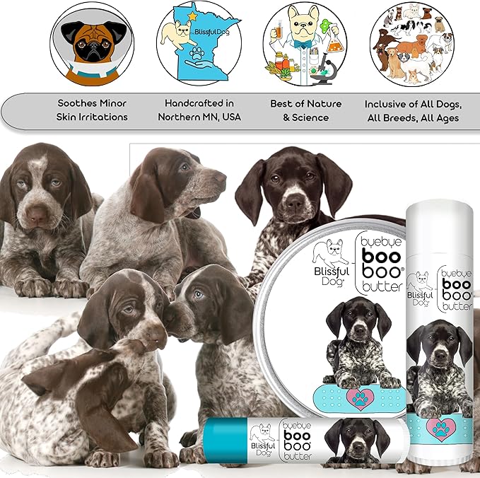 The Blissful Dog 1 oz TIN German Shorthaired Pointer Booboo Butter