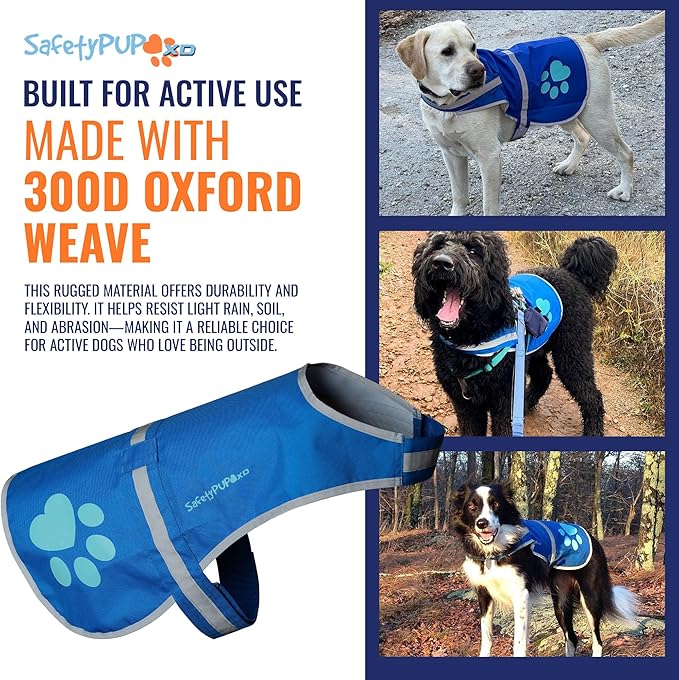 Dog Reflective Vest – Hi-Vis Fluorescent Visibility That Helps to Safeguard Your Pet On/Off Leash in Urban & Rural Areas (Blue, Large)