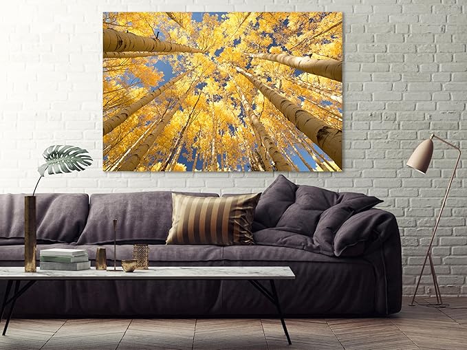 Nature Wall Art Prints - Ocean Forest Mountain Lake Canvas Landscapes - Small to Extra Large Living Room Bedroom Kitchen Bathroom Décor (Reaching for the Sky, 16L" x 24W")