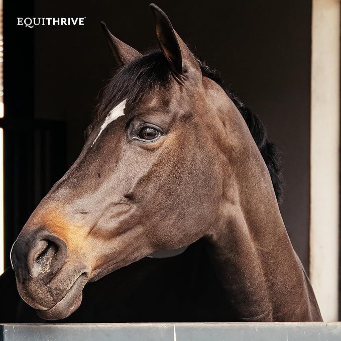 Equithrive Original Joint Supplement Powder with Resveratrol and Hyaluronic Acid for Horses, Equine Care, 2 lbs