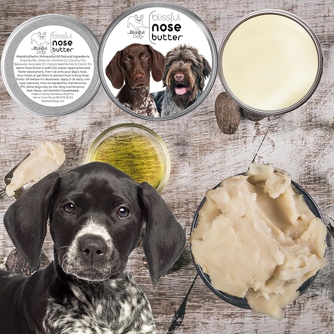 The Blissful Dog German Shorthaired Pointer Unscented Nose Butter - Dog Nose Butter, 16 Ounce