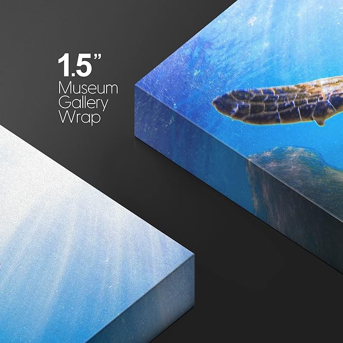 wall26 Canvas Print Wall Art Sunlight Ray Tropical Turtle Swimming Ocean Nature Animals Photography Realism Rustic Scenic Landscape Wilderness Colorful for Living Room, Bedroom, Office - 12"x18"