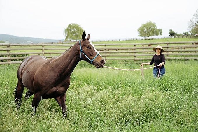 22' Long Line with SS O Ring and Carabiner (Burgundy)