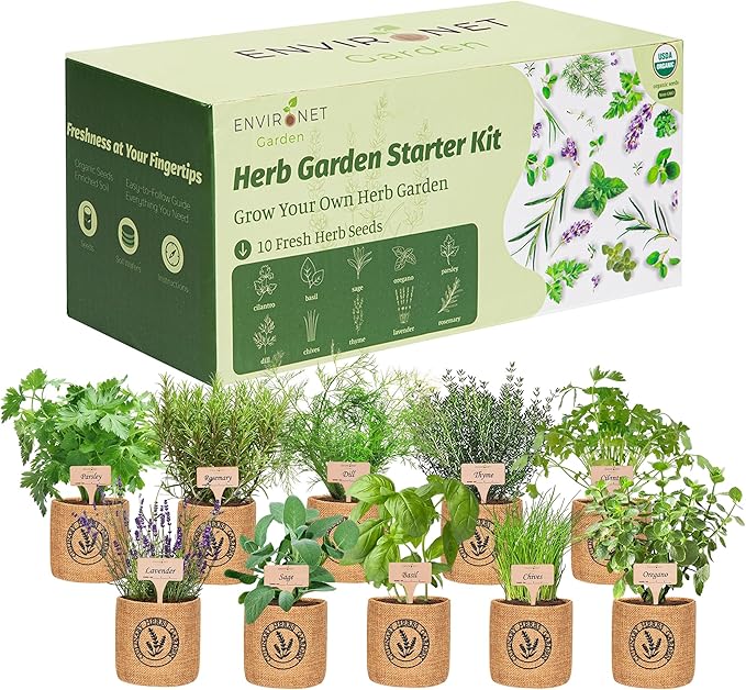 10 Indoor Herb Garden Kit- Burlap Pots, Organic Seeds, Herb Garden Planter Indoor Kit, Easy Window & Kitchen Herbs Growing Kit, Cilantro, Basil, Sage, Oregano, Parsley, Dill, Chives etc.