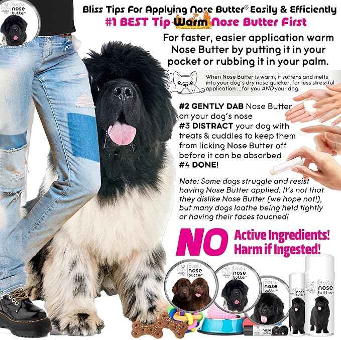 The Blissful Dog Bronze Newfoundland Nose Butter
