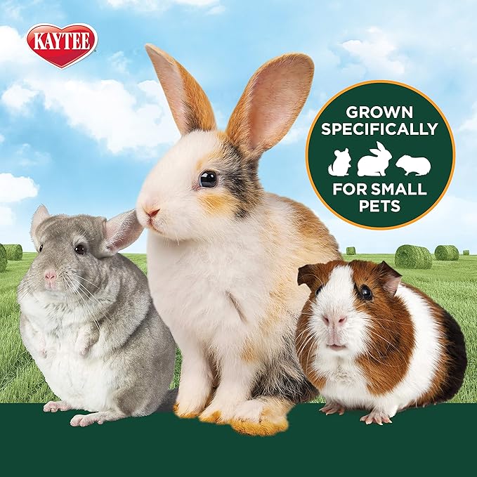Kaytee All Natural Timothy Hay Plus Marigolds for Guinea Pigs, Rabbits & Other Small Animals, 24 Ounce