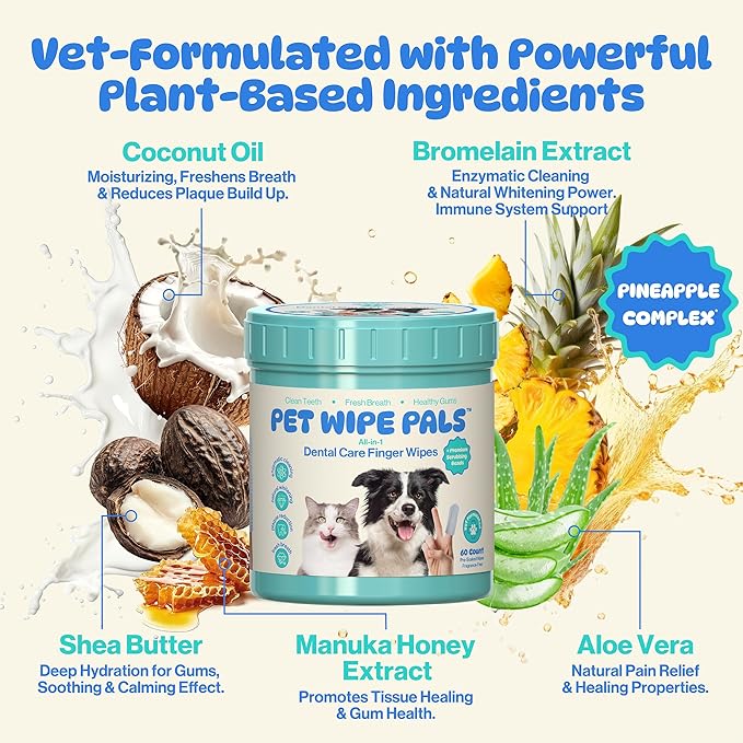 All-in-1 Dog Teeth Cleaning Wipes | Enzymatic Whitening + Premium Scrubbing Beads | No Mess, Pet Dental Wipes & Finger Tooth Brushing Kit | Plant-Based Dental Care for Cats & Dogs (60 Count)