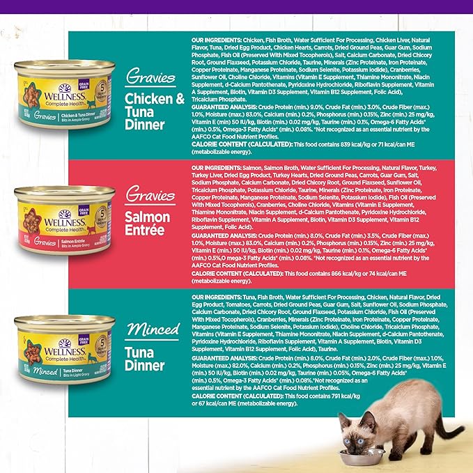 Wellness Complete Health Gravy & Minced Adult Wet Cat Food, Natural, Protein-Rich, Grain Free, 3 Ounce, 12 Pack, (Salmon, Tuna, and Chicken Variety Pack)