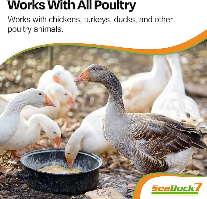 SeaBuck 7 Chicken & Bird Supplement with Sea Buckthorn to Improve Egg Quality (1-Month Supply for 20 Chickens) – Earlier Laying, Egg Production Booster & Higher Quality Eggs