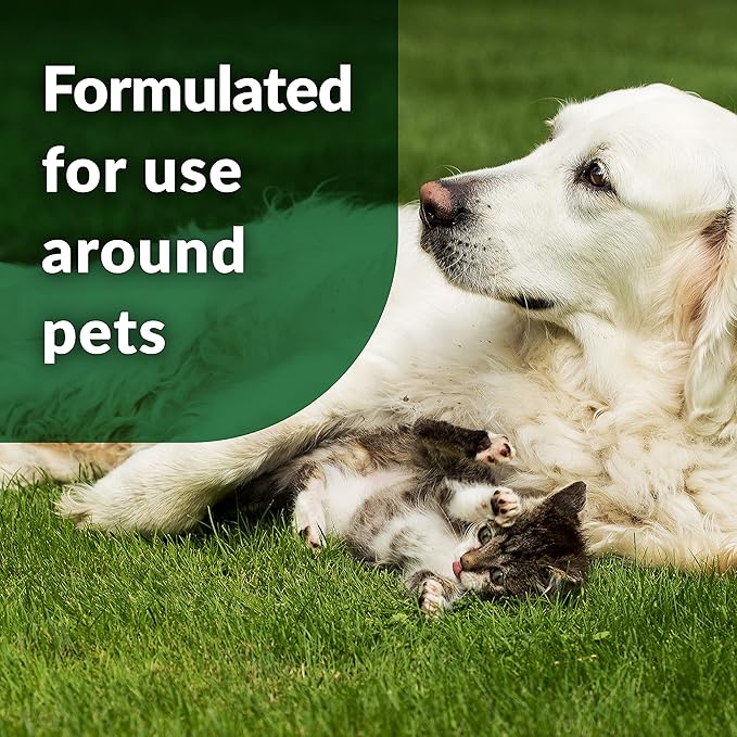 Simple Green Outdoor Odor Eliminator for Pets, Dogs, 1 gallon Refill - Ideal for Artificial Lawns & Patio, Milky White (Pack of 2)