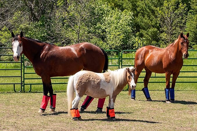 Warrior Fly Boots for Horses - Breathable Mesh Horse Boots for Fly Protection & Leg Comfort - Set of 4 (The Warrior, Neon Orange)